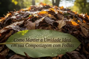 Como Manter a Umidade Ideal em sua Compostagem com Folhas