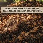 Uso Correto das Folhas Secas: Quantidade Ideal na Compostagem